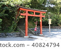 Torii 40824794