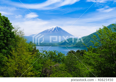 Lake Motosu and Mt. Fuji 40825450