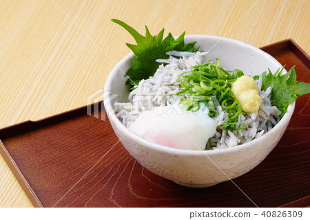 Shirasu 40826309