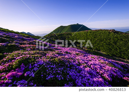 Kyushuyama Kusumiyama Miyama Kirishima Kyushuyama Kusumiyama Miyama Kirishima 40826813