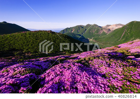 Kyushuyama Kusumiyama Miyama Kirishima 40826814