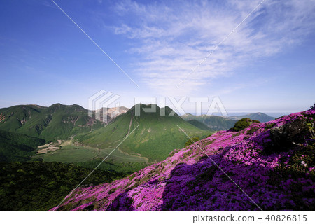 Kyushuyama Kusumiyama Miyama Kirishima 40826815