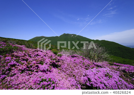 Kyushuyama Kusumiyama Miyama Kirishima 40826824