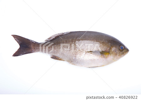 Isaki Foodstuff Isaki Foodstuff 40826922