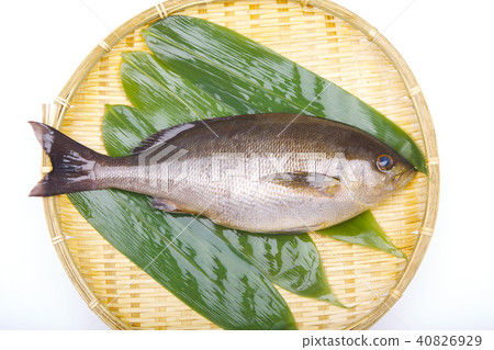 Isaki Foodstuff Isaki Foodstuff 40826929