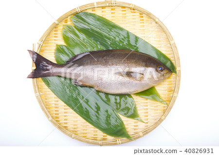 Isaki Foodstuff 40826931