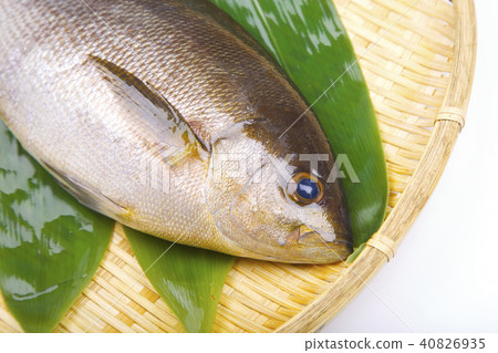 Isaki Foodstuff Isaki Foodstuff 40826935