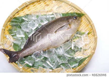 Isaki Foodstuff Isaki Foodstuff 40826946
