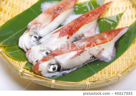Kenzakika Foodstuff Kenzakika Foodstuff 40827885