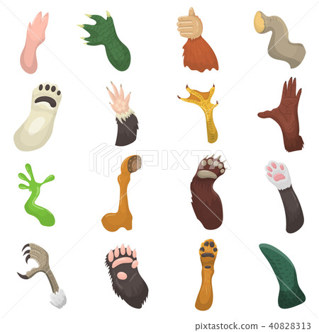 Animal paw vector animalistic pets claw or hand of cat or dog and bears or monkey paws illustration Animal paw vector animalistic pets claw or hand of cat or dog and bears or monkey paws illustration 40828313