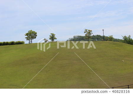 Park clear sky Park clear sky 40828316
