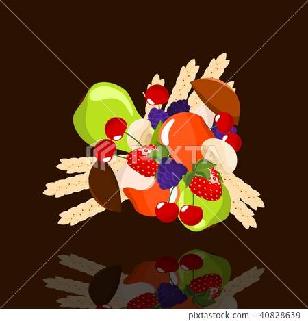 summer fruits summer fruits 40828639