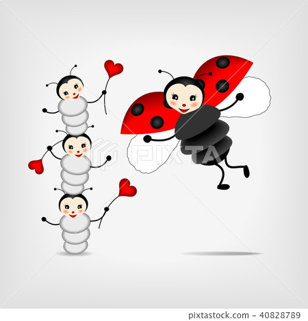 mother ladybug with three babies mother ladybug with three babies 40828789