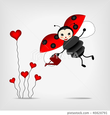 ladybug with flower ladybug with flower 40828791