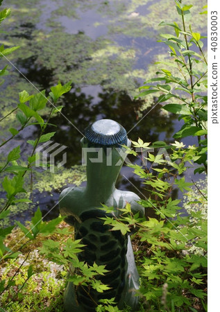 Tarou: Tono-shi, Iwate Prefecture (taken on May 30, 2016) 40830003