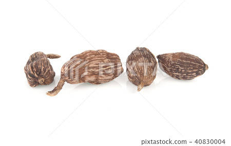 Nutmeg isolated on white background 40830004