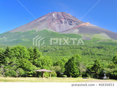 Fuji of summer -3733 40830853