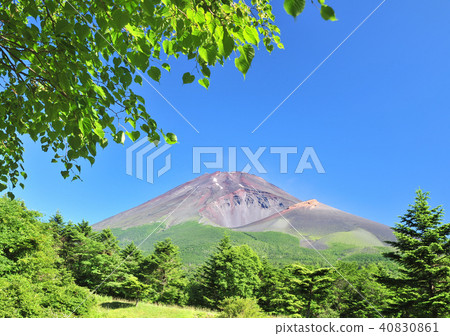 Mt. Fuji from Mizukaduka Park - 3740 40830861
