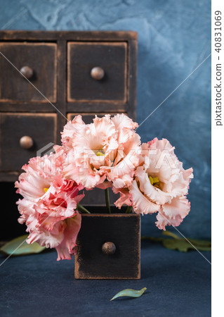 Pink garden carnations Pink garden carnations 40831069