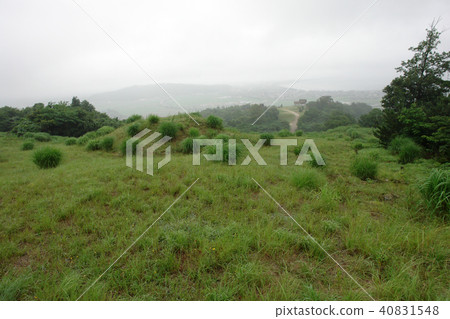 Tottori Walking in the Four Seasons Summer Tsumugi Hataka Ruins 40831548