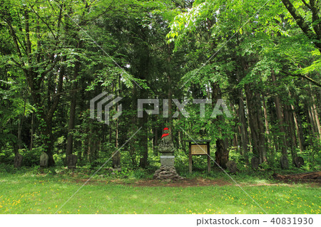 觀音原石佛像集團白馬村 40831930