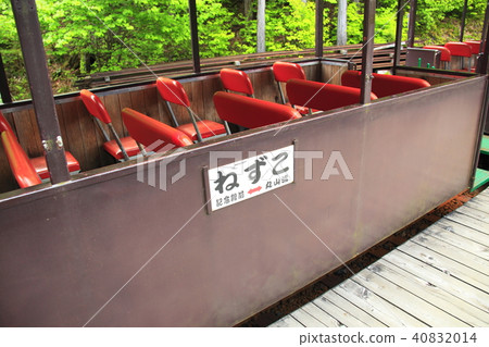 Akazawa Forest Railway Akazawa Forest Railway 40832014