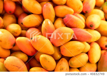 Lots of mini mango 40832749