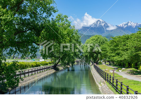 Shinshu Azumino新鮮的綠色撿取器堰和北阿爾卑斯山 40832926