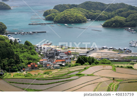 Ohoura港口和水稻梯田 40833759