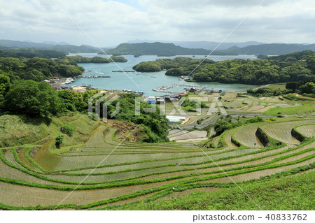 Full view of the rice terrace of the great river Full view of the rice terrace of the great river 40833762