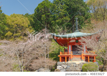 京都Daigoji Benzaiten 京都Daigoji Benzaiten 40833827