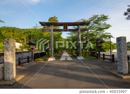 新鮮的綠色埼玉縣日高市的綠葉神社 40833907