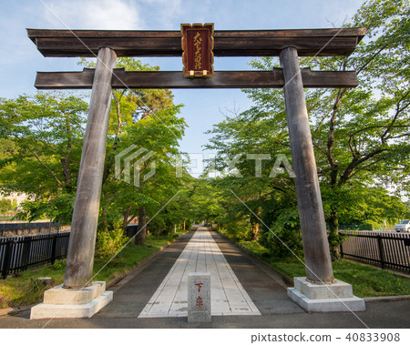 新鮮的綠色埼玉縣日高市的綠葉神社 新鮮的綠色埼玉縣日高市的綠葉神社 40833908