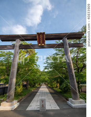 新鮮的綠色埼玉縣日高市的綠葉神社 新鮮的綠色埼玉縣日高市的綠葉神社 40833909