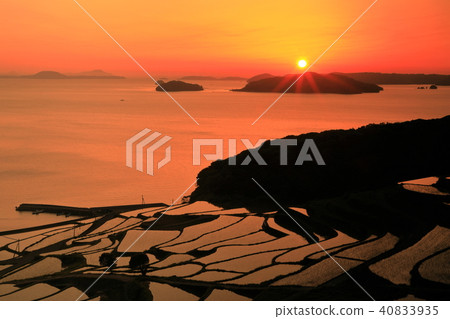 在伊万里海灣的太陽落山的水稻梯田的風景 40833935