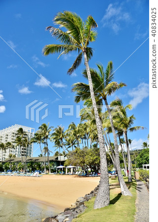 Holidays in Hawaii 40834025