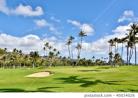 Holidays in Hawaii 40834026