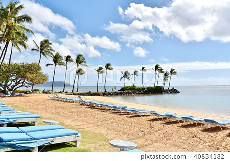 Holidays in Hawaii 40834182