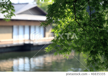 平成花園 40835335