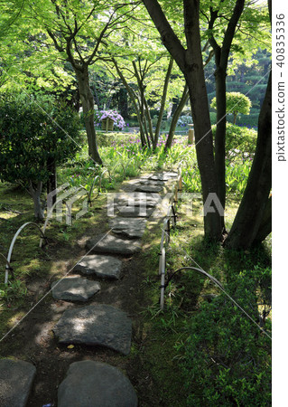 平成花園 平成花園 40835336
