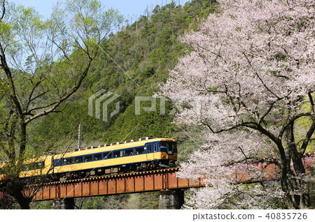 Oigawa Tetsudo 40835726