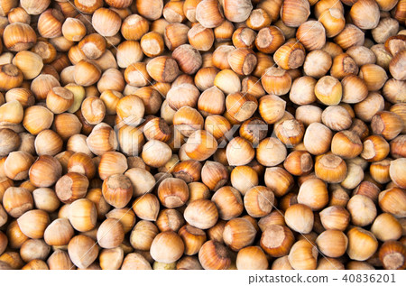 Stack of hazelnuts. Hazelnut background. Stack of hazelnuts. Hazelnut background. 40836201