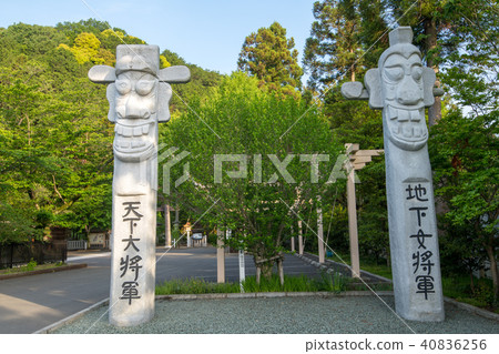 Shinryu Shogun一般目標市場綠色埼玉縣日高市 40836256