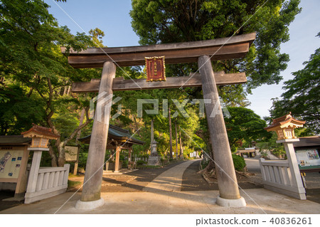 Greenery Shinto shrine of fresh green torii Saitama ken Hidaka city Greenery Shinto shrine of fresh green torii Saitama ken Hidaka city 40836261