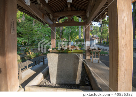 新鮮的綠色埼玉縣日高市的綠葉神社手 40836382