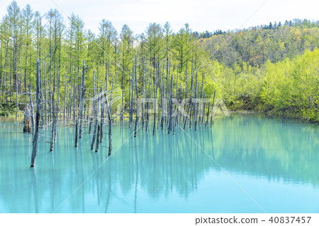 Aoiike Pond, Biei-cho, Hokkaido Aoiike Pond, Biei-cho, Hokkaido 40837457