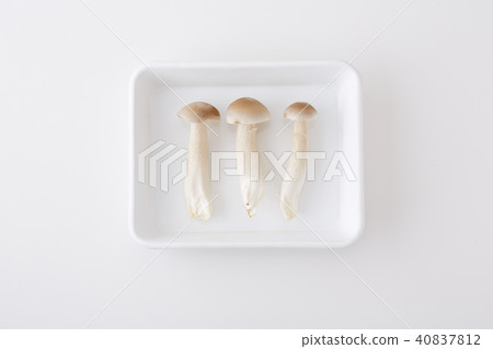 一個美妙的shimeji股票 一個美妙的shimeji股票 40837812