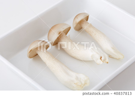 A wonderful shimeji stock 40837813