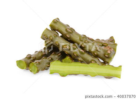 tinospora cordifolia or bora phet (thai name) tinospora cordifolia or bora phet (thai name) 40837870