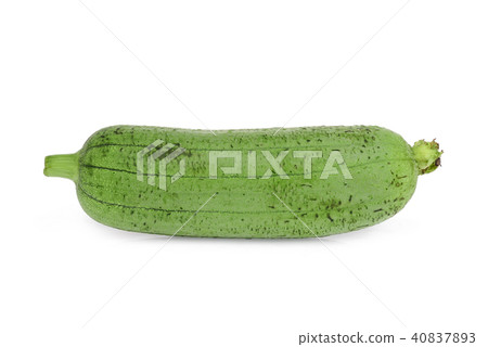 single fresh green sponge gourd or luffa isolated single fresh green sponge gourd or luffa isolated 40837893